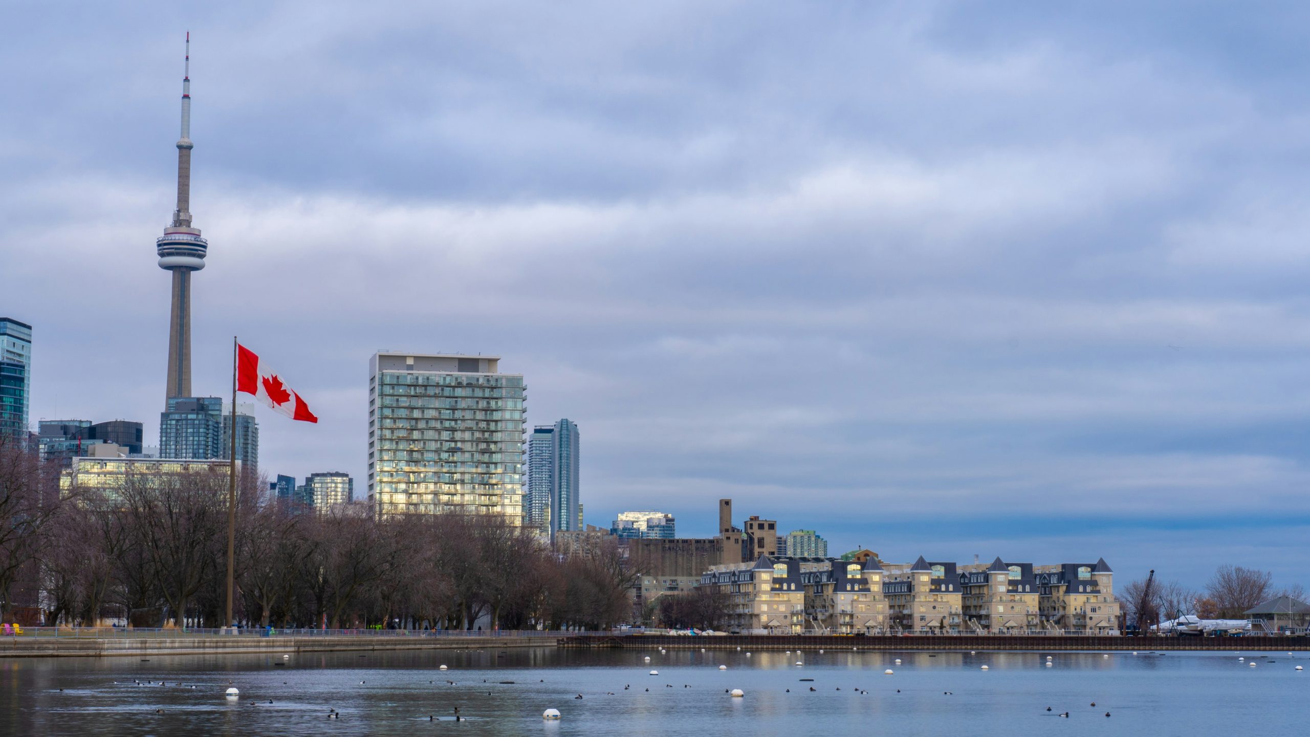 An Open Letter to the Canadian Real Estate Industry By Todd Shyiak, EVP, Century 21 Canada